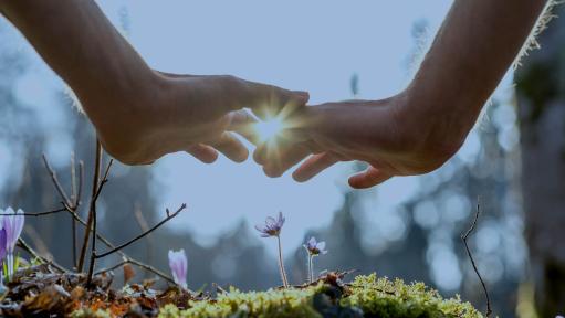 Mert a zöld helyreállítás számít